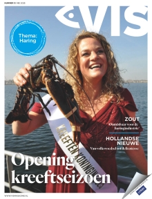 Vis magazine 3 2025